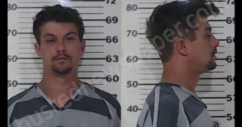 <B>MATTHEWS</B>, <B>CHRISTOPHER</B> <B>FRANCIS</B> #, Henderson County, Texas - 2020-01-21