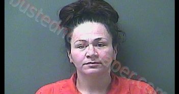 MISTY D LINDSEY | 2020-01-21 12:40:00 Laporte County, Indiana, La Porte County, Indiana Booking