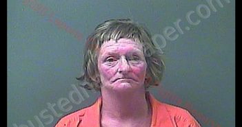 DOROTHY K WELLINSKI | 2020-01-21 20:08:00 Laporte County, Indiana, La Porte County, Indiana Booking