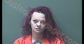 MICHELLE P FLORES | 2020-01-21 04:46:00 Laporte County, Indiana, La Porte County, Indiana Booking