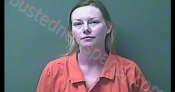 AMANDA J SALMONS | 2020-01-21 12:30:00 Laporte County, Indiana, La Porte County, Indiana Booking