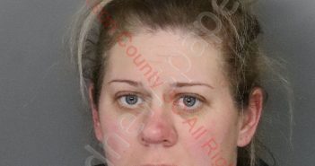 <B>MEGAN</B> CATHERINE DOBBINS #, <b>Anderson</b> County, South Carolina, Anderson County, South Carolina - 2020-01-22 14:52:00