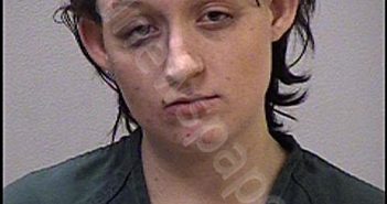 <B>CARL</B>, <B>EMILY</B> <B>RUTH</B>–<B>MICHELLE</B> #, Kalamazoo County, Michigan - 2020-01-25 19:16:00