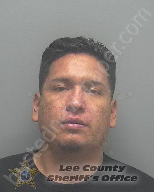 FLORES, ERIZEL DAVID #, Lee County, Florida - 2020-01-25 05:57:00