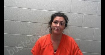 MCMAHAN, MELISSA DAWN | 2020-01-27 10:42:00 Wood County, West Virginia Booking