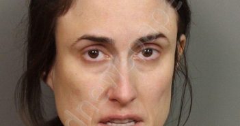 PATEL, STEPHANIE FLOWERS | 2020-01-28 14:31:00 Jefferson County, Alabama Booking