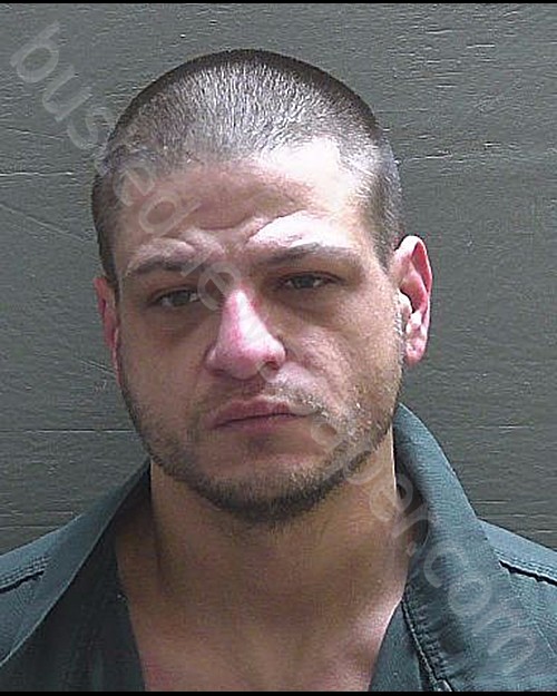 MANN, BRANDON KYLE #, Escambia County, Florida - 2020-01-28 02:50:00