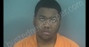 BRIAN SMITH | 2020-01-28 15:43:00 Western Tidewater, Virginia Booking