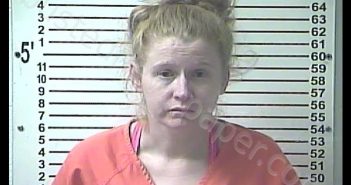 HEATHER RENEE STONE | 2020-01-30 11:00:00 Hardin County, Kentucky Booking