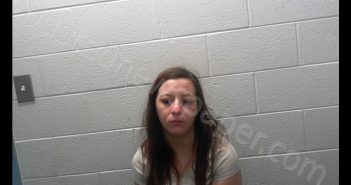 WILGIS, MORGAN VICTORIA | 2020-01-30 06:30:00 Taylor County, West Virginia Booking