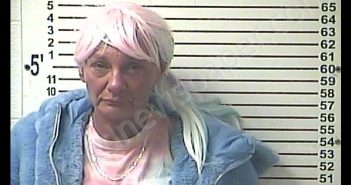 MICHELLE DAWN CHAPMAN PRIDDY | 2020-01-30 07:02:00 Hardin County, Kentucky Booking