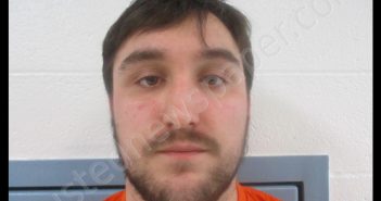 BRITTON, MICHAEL HARRIS | 2020-01-30 10:00:00 Preston County, West Virginia Booking
