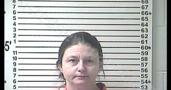 MAGGIE MARIE MEADOWS | 2020-01-30 09:24:00 Hardin County, Kentucky Booking