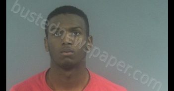 DNARDO HARRISON | 2020-01-31 02:09:00 Western Tidewater, Virginia Booking