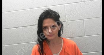 BRYANT, CHRISTINA LOUISE | 2020-01-31 07:00:00 Preston County, West Virginia Booking