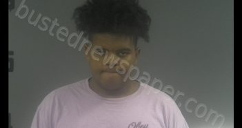 TERRANCE GRANGER | 2020-01-31 00:31:00 Western Tidewater, Virginia Booking