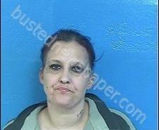 MARIE WOOD | 2020-02-01 04:20:00 Sullivan County, Tennessee Booking