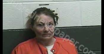 TRACIE ANN RHODES | 2020-02-01 03:13:00 Whitley County, Kentucky Booking
