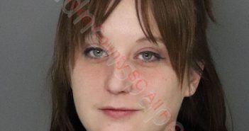 MARISA RENEE HUSSMANN | 2020-02-01 21:14:00 Anderson County, South Carolina Booking