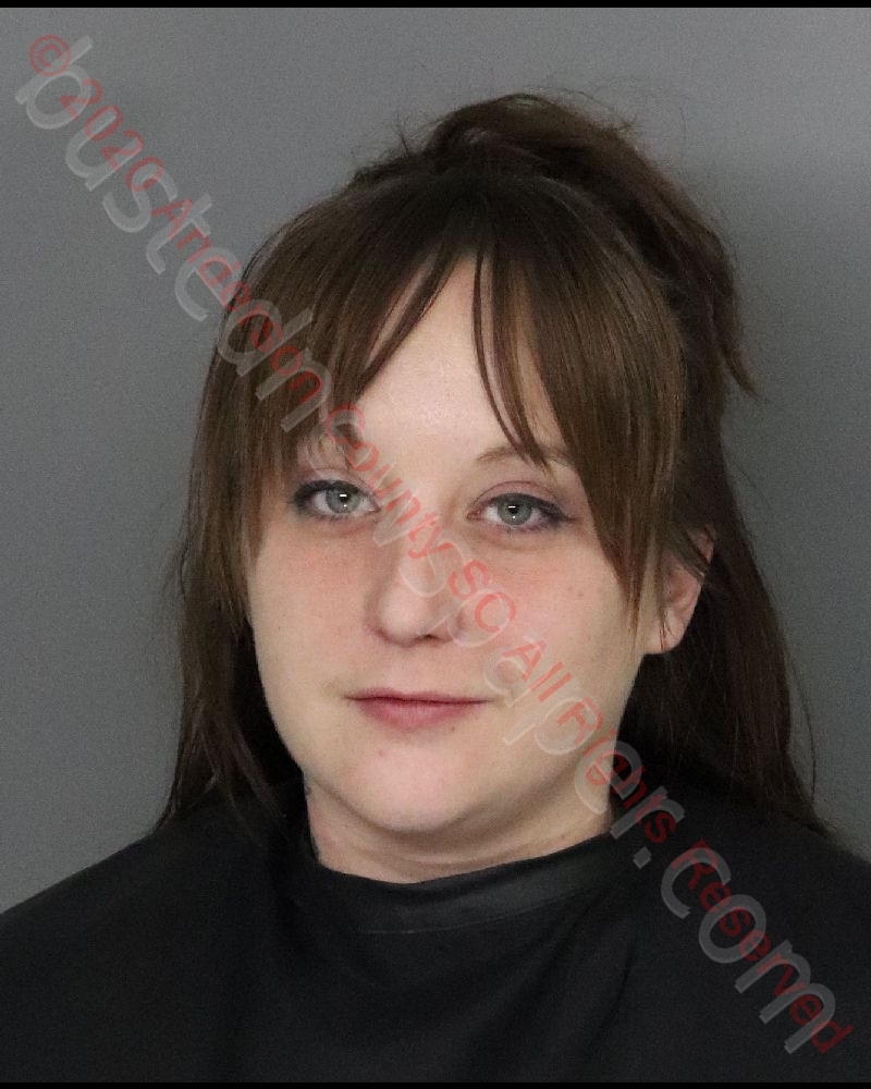MARISA RENEE HUSSMANN #, Anderson County, South Carolina - 2020-02-01 21:14:00