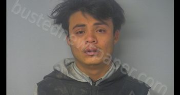 NICOLAS ALEJANDRO-CALDERAS | 2020-02-01 06:47:00 Virginia Peninsula Regional Jail, Virginia Booking