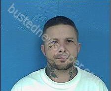 WILLIAM MAYS | 2020-02-01 03:28:00 Sullivan County, Tennessee Booking