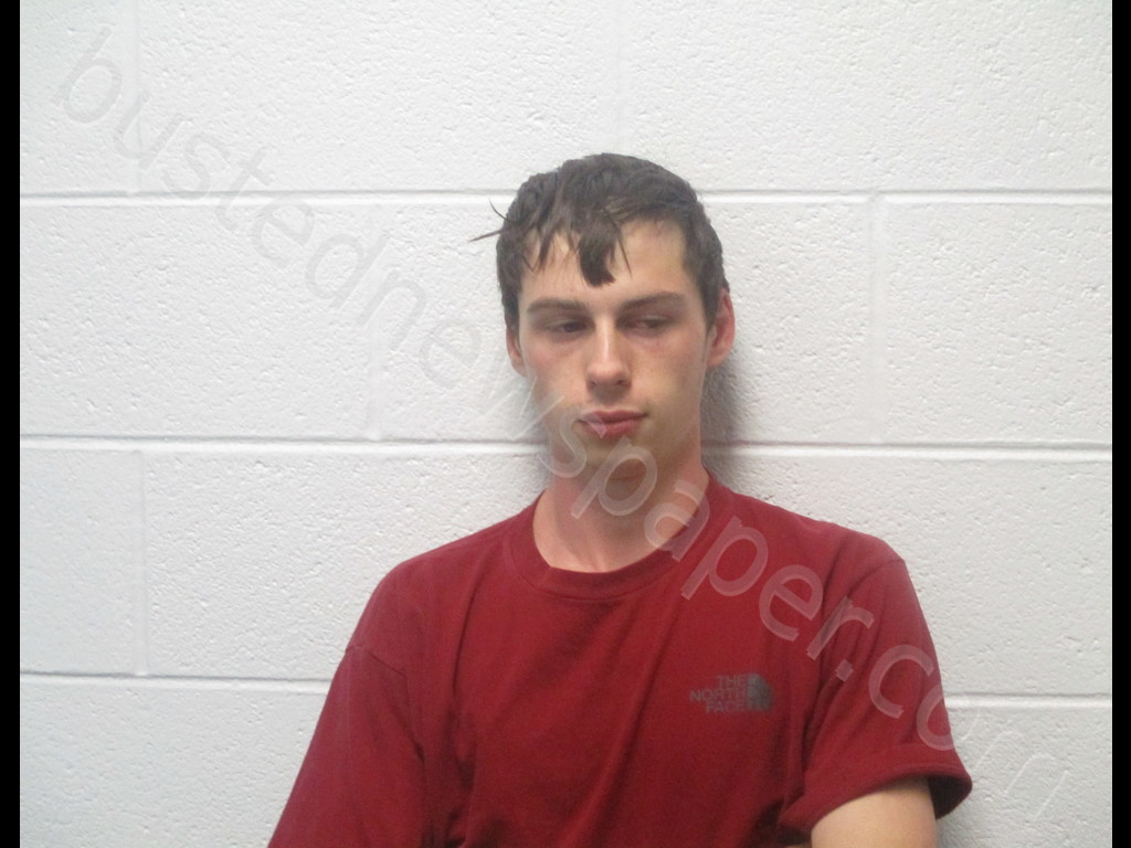 JOLY, GRAYSON JOHN #, Pocahontas County, West Virginia - 2020-02-02 03:35:00