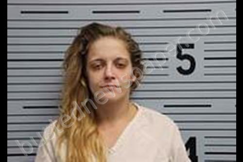 JESSICA DEAN FINLEY #, Jackson County, Alabama - 2020-02-03 21:06:00