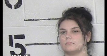 HARBAUGH, KRYSTAL ROSE | 2020-02-03 Chase County, Kansas Booking
