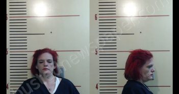 <B>COX</B>, <B>ASHLEY</B> <B>MEGAN</B> #, Parker County, Texas - 2020-02-03