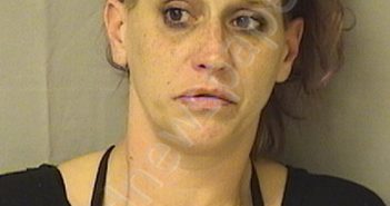 NUTTER, ANGELA SUE | 2020-02-04 02:45:00 Wood County, West Virginia Booking