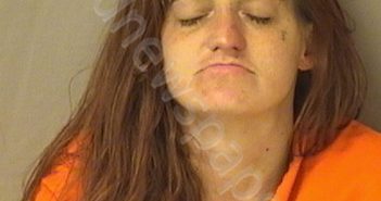 FERRELL, BRITTANY JO | 2020-02-04 17:30:00 Wood County, West Virginia Booking