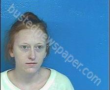 TONYA MCCLELLAND | 2020-02-05 10:51:00 Sullivan County, Tennessee Booking