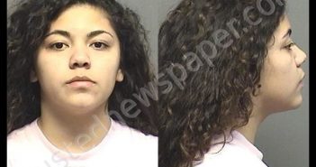 LOPEZ,ISABEL MARIE | 2020-02-06 23:30:00 Saline County, Kansas Booking