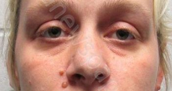 CHISM, LIESEL P | 2020-02-06 Sussex County, New Jersey Booking