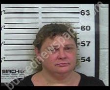 JULIE DUNAGAN | 2020-02-06 15:32:00 Gibson County, Tennessee Booking
