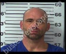 JESSIE WILLIAMS | 2020-02-06 10:43:00 Gibson County, Tennessee Booking