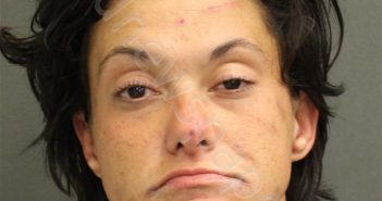 <B>FORTNER</B>, <B>AMANDA</B> <B>NICOLE</B> #, Orange County, Florida - 2020-02-06 00:59:00