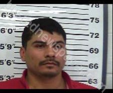MARIO RODRIGUEZ | 2020-02-07 12:50:00 Gibson County, Tennessee Booking