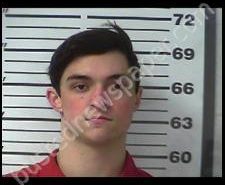 CODY REEVES | 2020-02-07 18:34:00 Gibson County, Tennessee Booking