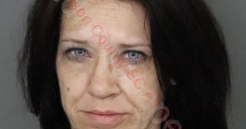 MARIAN ELIZABETH WOLVERTON | 2020-02-07 22:48:00 Anderson County, South Carolina Booking