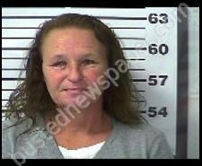 SAMANTHA ENGLISH | 2020-02-07 14:08:00 Gibson County, Tennessee Booking