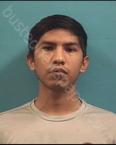 ALANIZ, CARLOS ELISEO | 2020-02-07 Brazoria County, Texas Booking