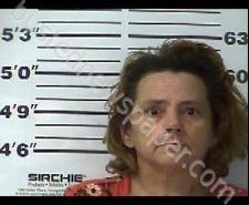 TERESA THOMPSON | 2020-02-08 00:27:00 Gibson County, Tennessee Booking