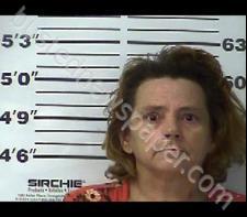 TERESA THOMPSON #, Gibson County, Tennessee - 2020-02-08 00:27:00