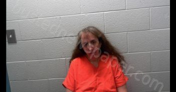 DEWITT, <B>LORI</B> <B>JEAN</B> #, Preston County, West Virginia - 2020-02-08 21:20:00