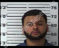 JOHN MCGEE | 2020-02-08 11:11:00 Gibson County, Tennessee Booking
