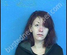 JODI SHANKS | 2020-02-08 03:06:00 Sullivan County, Tennessee Booking