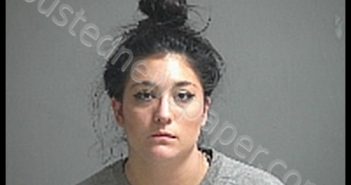 BOLLENBACHER ROCHELLE | 2020-02-09 Sandusky County, Ohio Booking