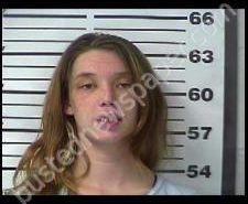 CAROLYN MCCAIG | 2020-02-09 18:26:00 Gibson County, Tennessee Booking